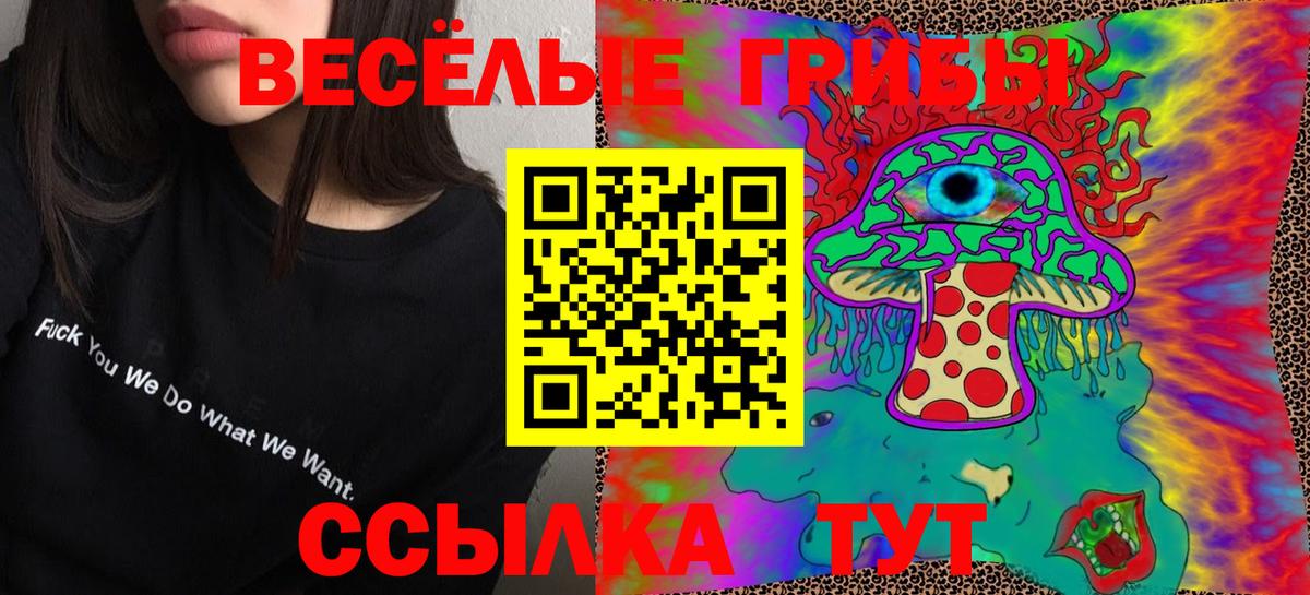 Галлюциногенные грибы Psilocybe  Вход с VPN  Сарапул 