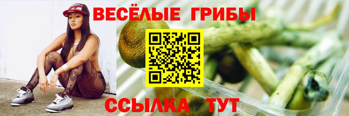 Псилоцибиновые грибы GOLDEN TEACHER Сарапул